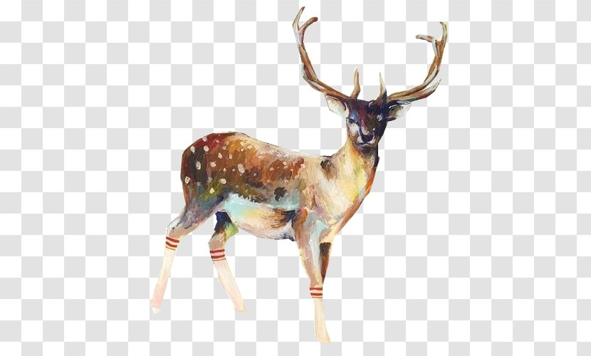 Deer Sock Poster Printmaking Illustration - Mammal - Hand-painted Watercolor Transparent PNG