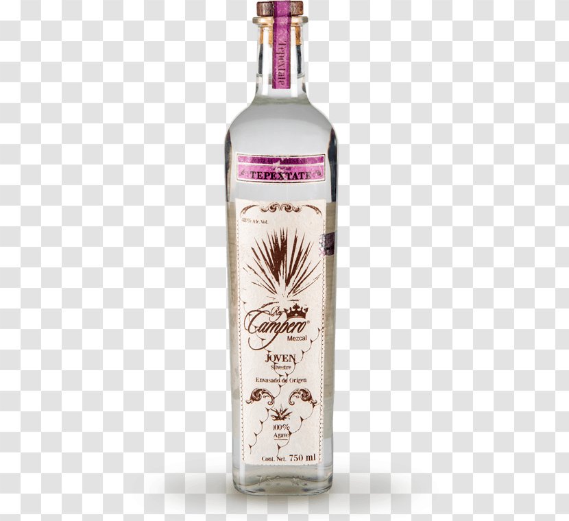 Liqueur Mezcal Tequila Century Plant Alcoholic Drink - Celebrity Transparent PNG