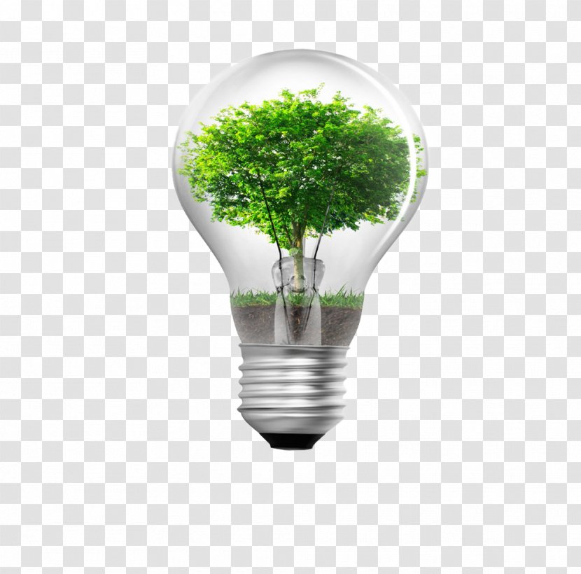 Energy Conservation Window Film Business Efficient Use Sustainability - Tree Bulb Creative Transparent PNG