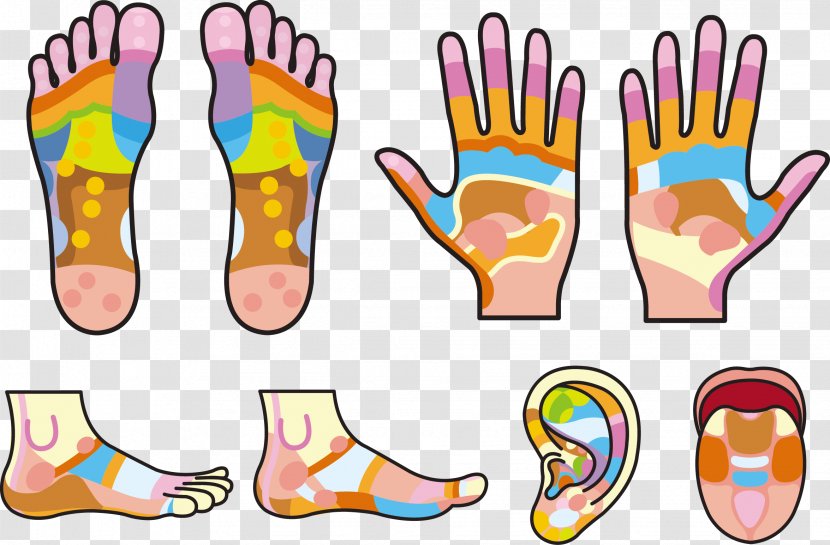 Hand Reflexology Foot - Acupressure - Palms And Soles Footprints Handprints Transparent PNG