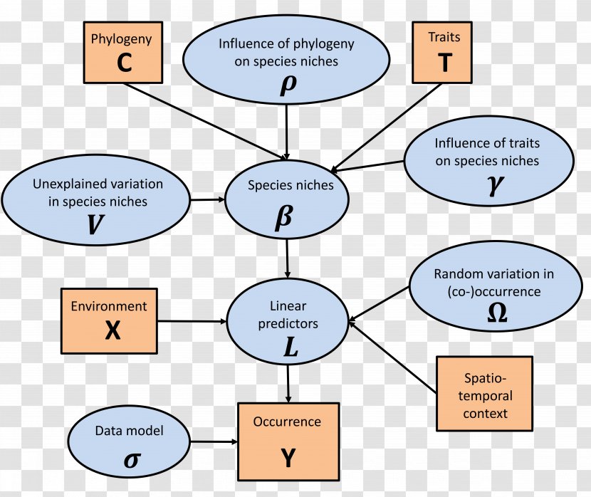 Line Point Organization - Communication Transparent PNG