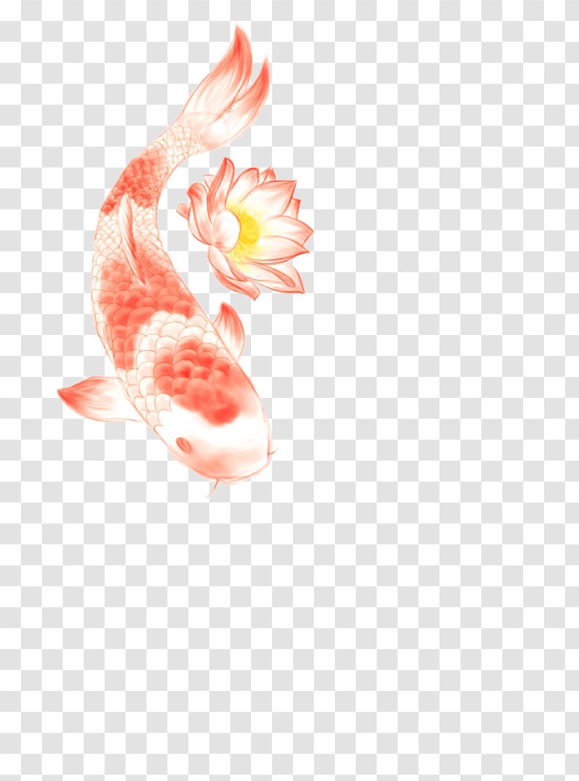 Butterfly Koi Tattoo Nelumbo Nucifera Symbol - Hand-painted Lotus Transparent PNG