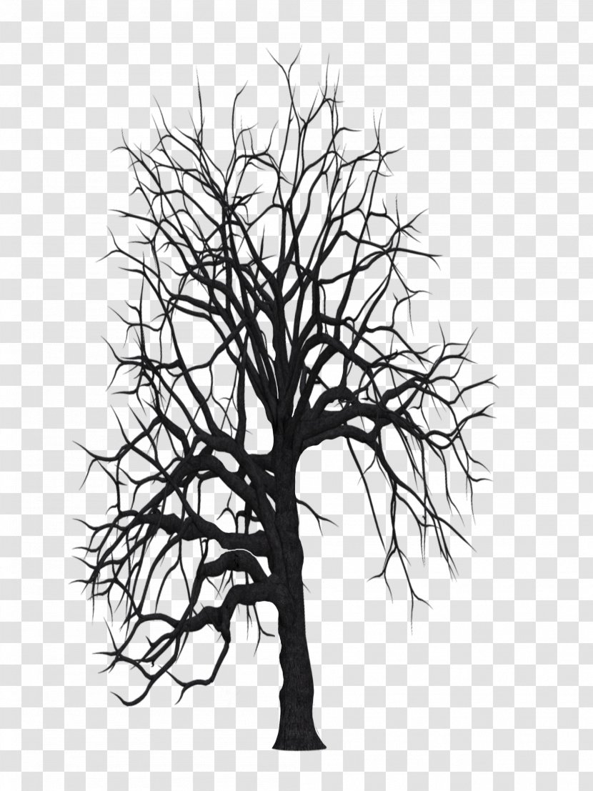 Tree Trunk Drawing - Leaf - Line Art Transparent PNG