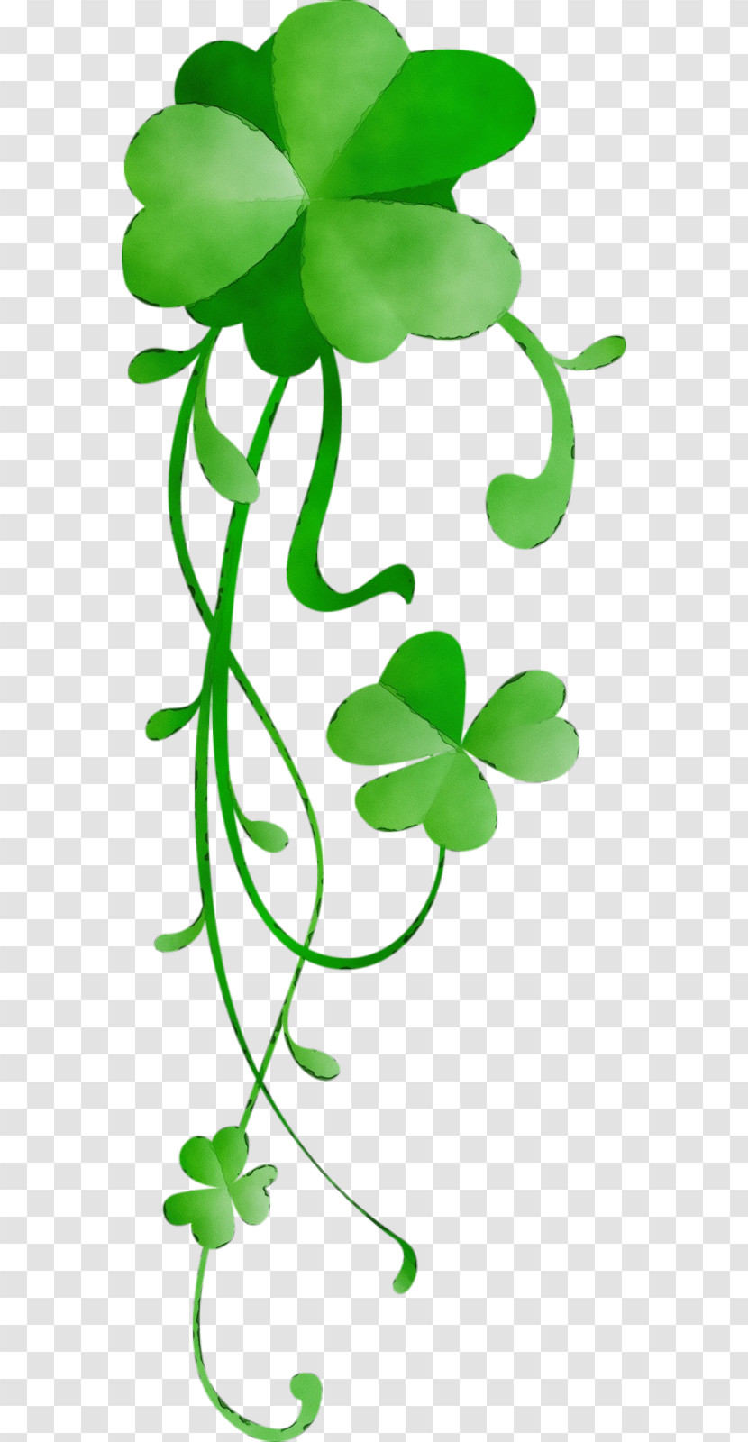 Leaf Green Plant Symbol Plant Stem Transparent PNG