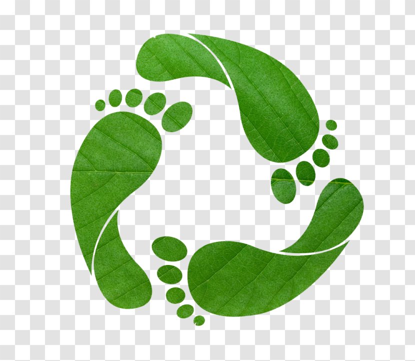 Carbon Footprint Ecological Recycling Natural Environment Sustainability - Logo - Symbol Transparent PNG