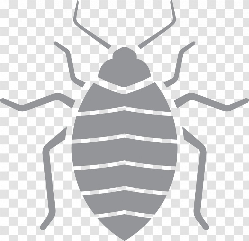 Reading Cartoon - Leaf Footed Bugs - Darkling Beetles Blister Transparent PNG