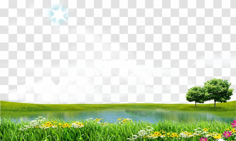 Download Icon - Grass - Spring Lake View Transparent PNG