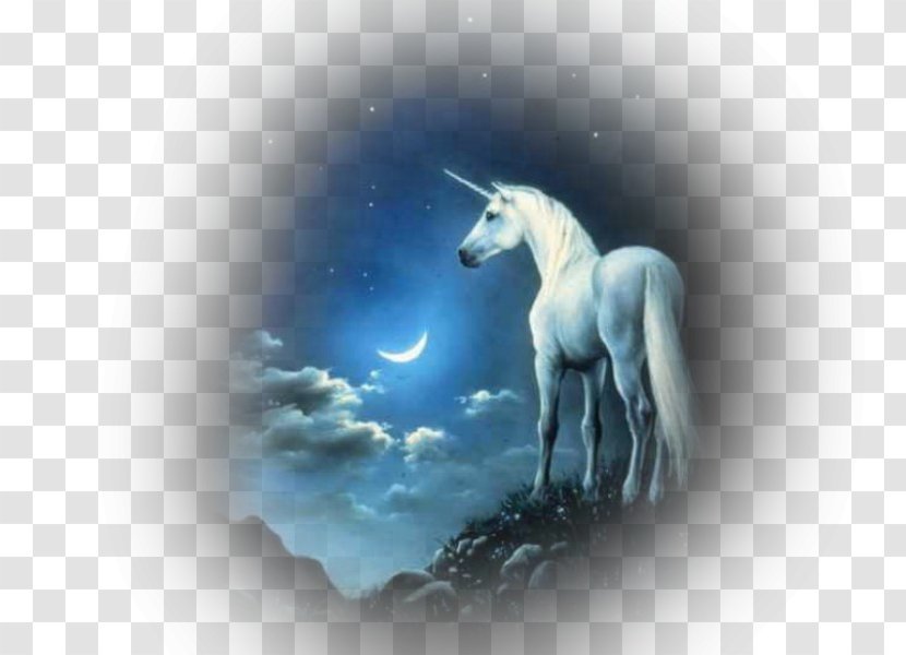 Unicorn Mythology Desktop Wallpaper - Blingee Transparent PNG