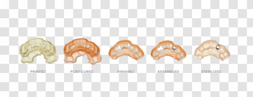 Dentistry Formlabs Biocompatibility 3D Printing Surgery - Tooth - Sterilized Mycoplasma Transparent PNG