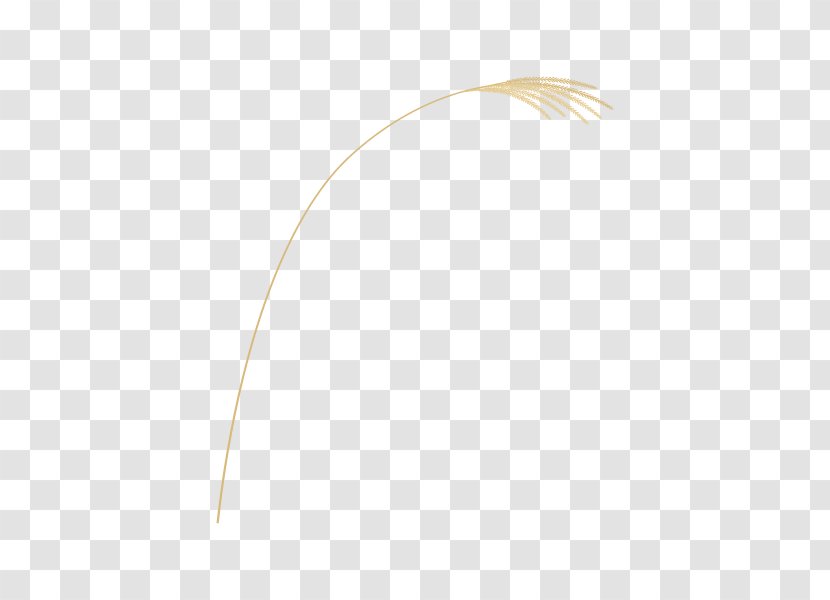 Product Design Line Feather Transparent PNG