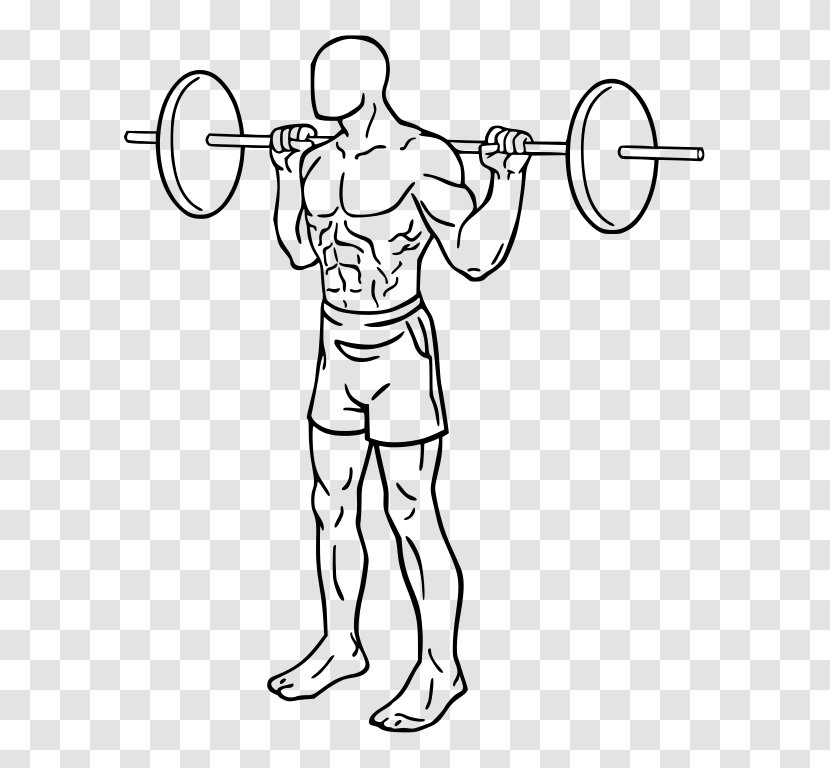 Squat Barbell Physical Exercise Deadlift Weight Training - Watercolor Transparent PNG