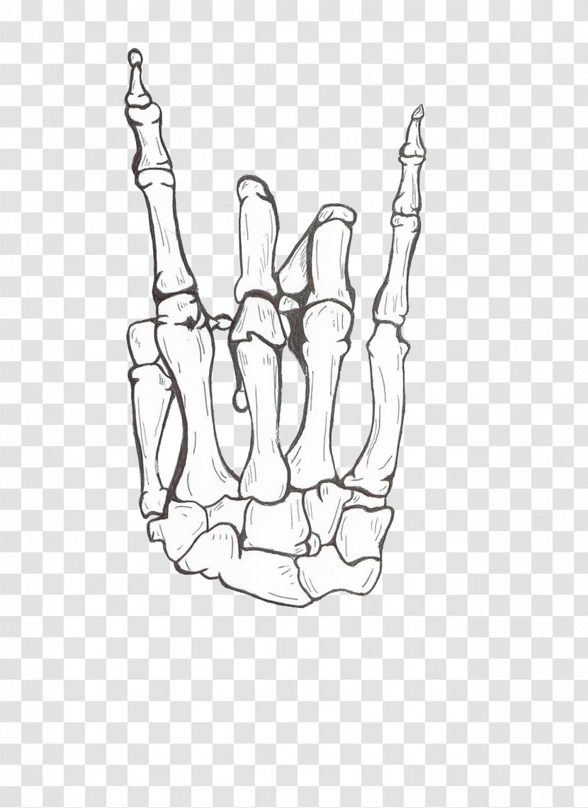 Drawing Human Skeleton Hand Bone - Finger Transparent PNG