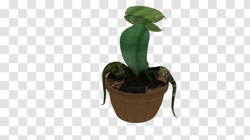 Flowerpot Leaf Houseplant Transparent PNG