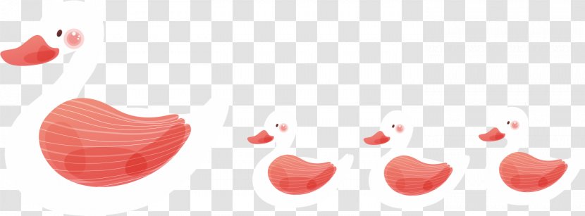 Domestic Goose Euclidean Vector - Ganso Transparent PNG