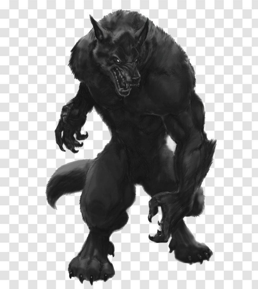 Werewolf: The Apocalypse Gray Wolf - Monster - Werewolf Transparent PNG