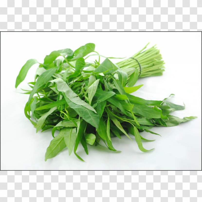 Water Spinach Vegetable Food Meat Stir Frying - Choy Sum Transparent PNG