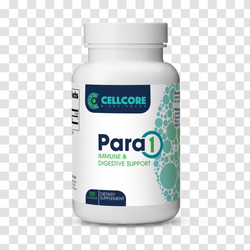Pará 2 1 Immune System Parasitism Capsule - Silhouette - Mimosa Pudica Transparent PNG