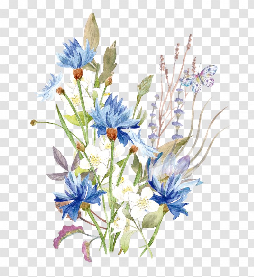 Watercolor Painting Image Floral Design Vector Graphics - Petal - Decorative Transparent PNG