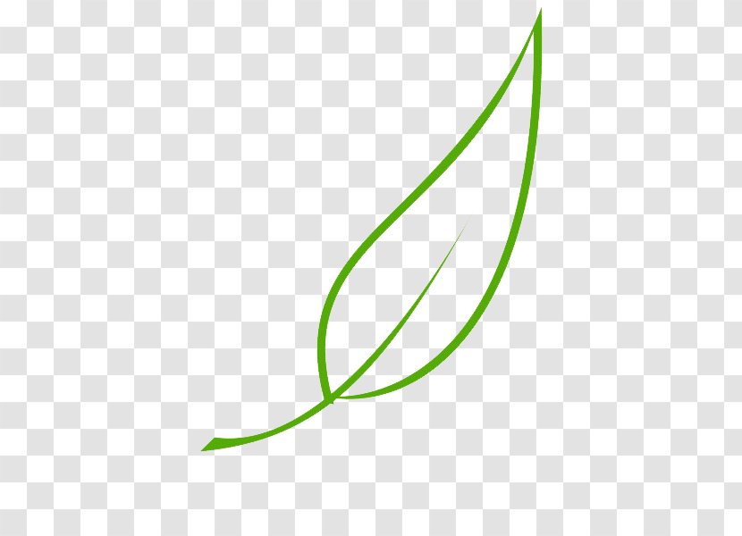Leaf Paper Tree Drawing Transparent PNG