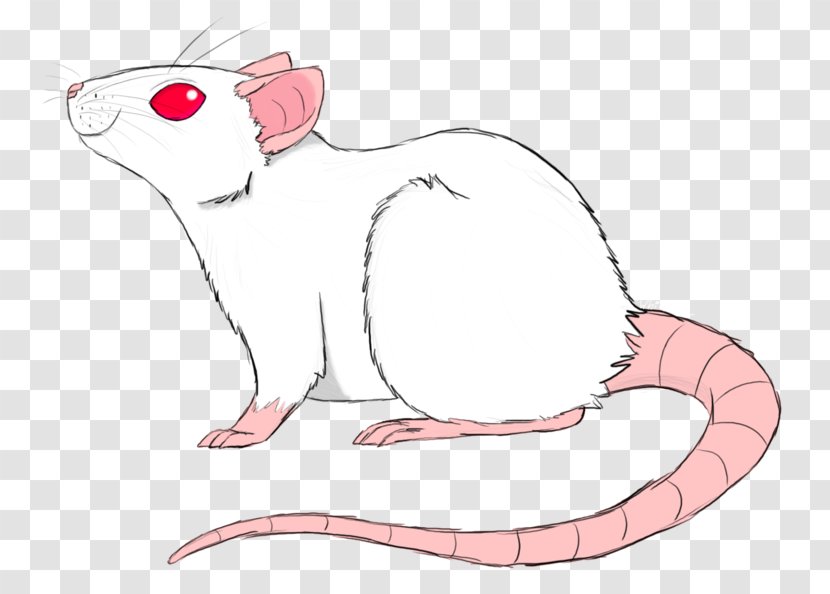Whiskers Cat Clip Art Computer Mouse Fauna - Animal Figure Transparent PNG