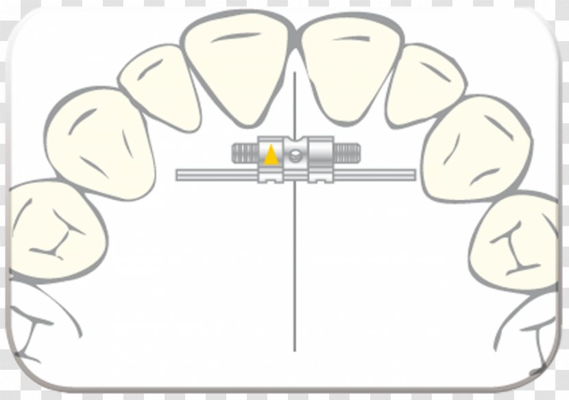 Scheu-Dental Nadimco AG Text Finger - Flower - Flecha Indicadora Transparent PNG