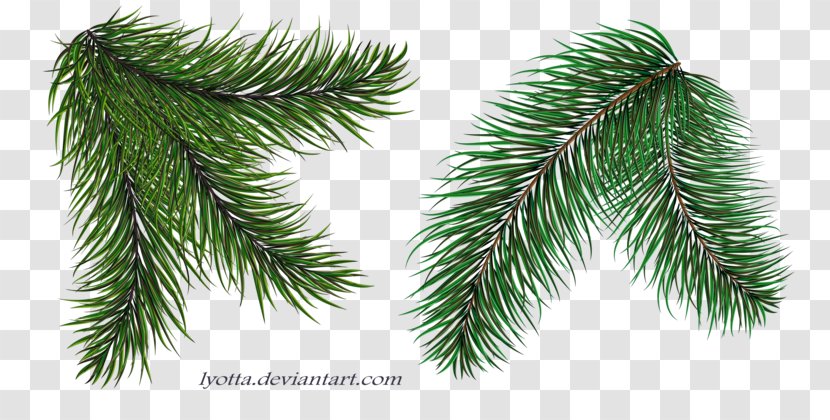 Spruce Twig Christmas Tree Ornament - Fir Transparent PNG