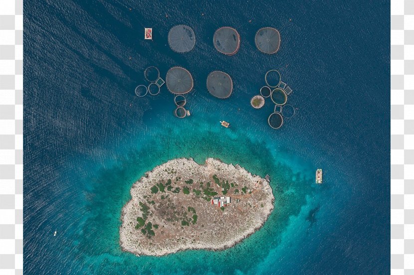 Aerial Photography Photographer Fish Farming - Farm Transparent PNG