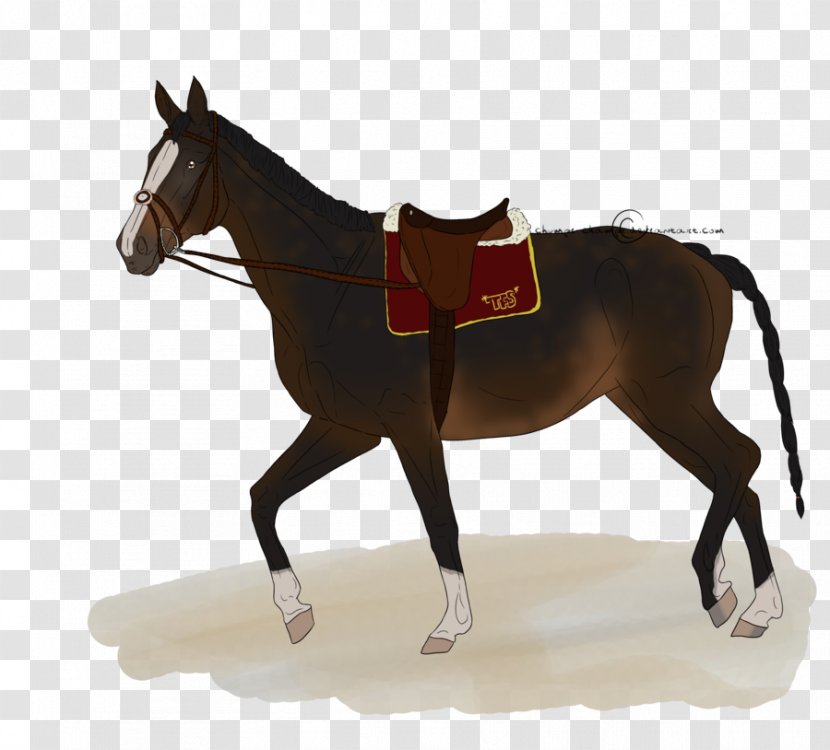 Mule Horse Silhouette - Royaltyfree Transparent PNG