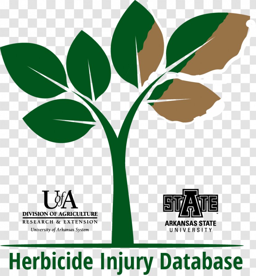 Herbicide Crop Metribuzin Quinclorac Medical Diagnosis - Sunflower Leaf Transparent PNG