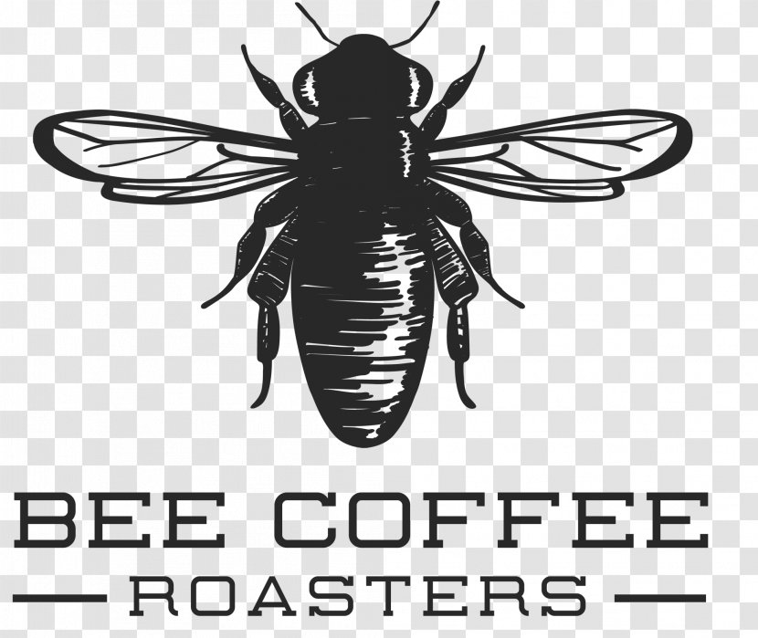 Honey Bee Coffee Cafe Latte - Arthropod Transparent PNG