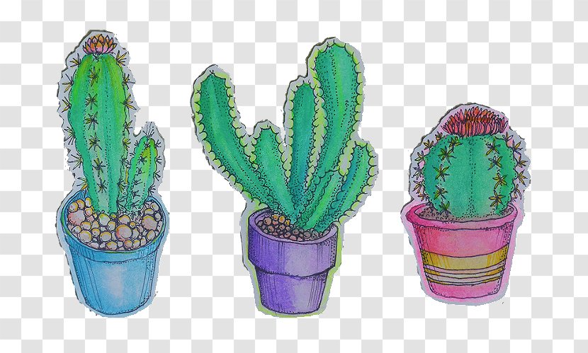 Cactaceae Drawing Succulent Plant - Aloe Vera Transparent PNG