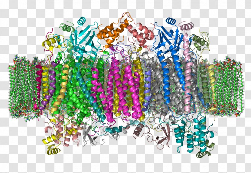 Cytochrome C Oxidase Enzyme - Protein Complex - Enhance Transparent PNG