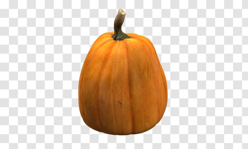 Jack-o'-lantern Calabaza Gourd Pumpkin Cucurbita Maxima - Seed Transparent PNG