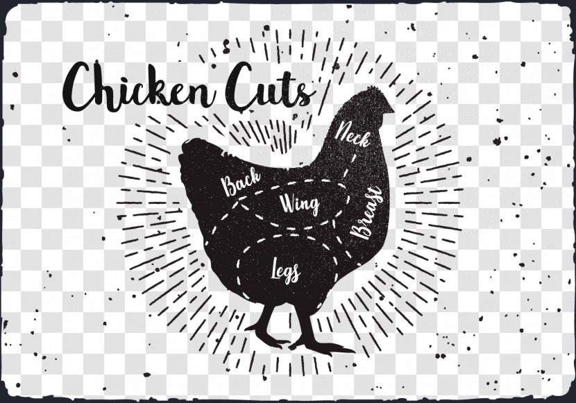 Chicken Rooster Drawing - Text - Sketch Transparent PNG