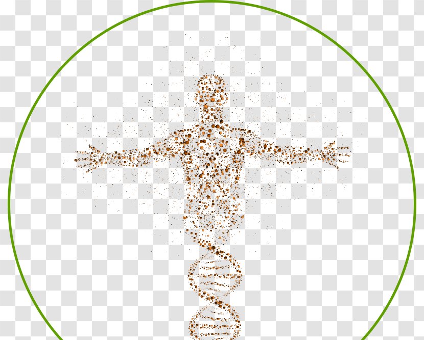 DNA Human Genome Cell Science Homo Sapiens - Organism Transparent PNG