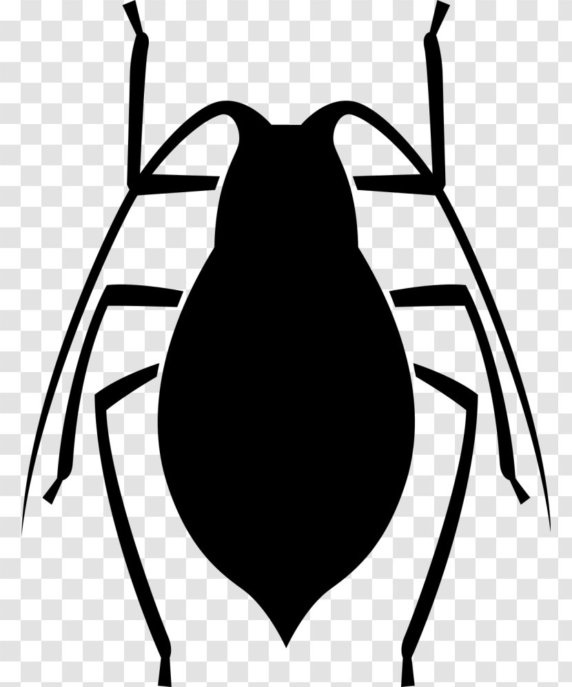 Software Bug Computer - Beak - Monochrome Photography Transparent PNG