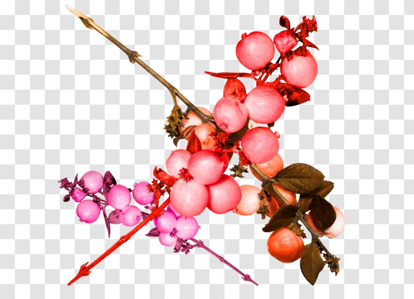 Pomegranate Fruit Grape Frutti Di Bosco - Grapevine Family - Small Red In Kind Transparent PNG