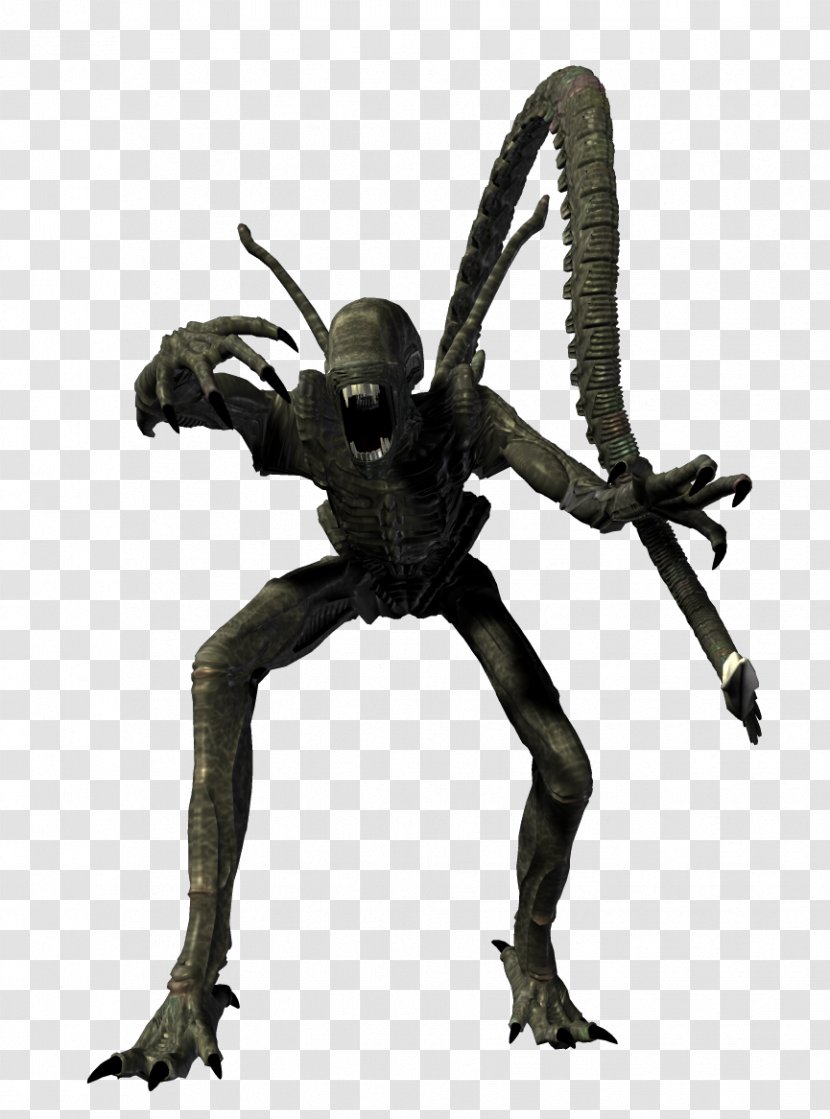 Alien Predator Image Character - Vs - Xenomorph Transparent PNG