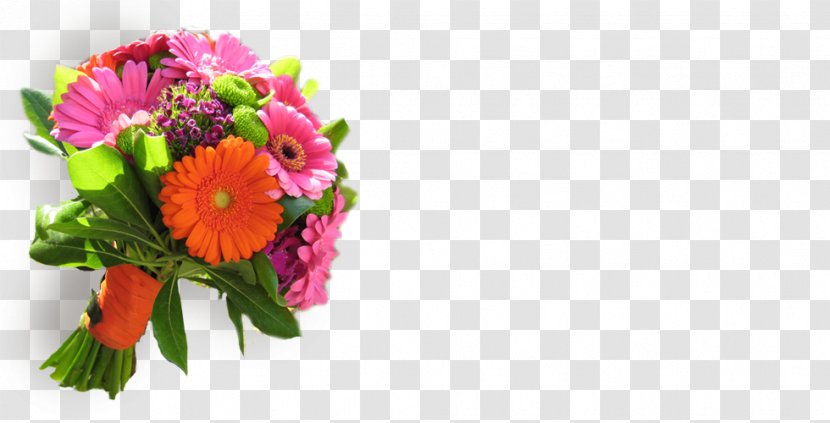 Transvaal Daisy Floral Design Cut Flowers Flower Bouquet Transparent PNG