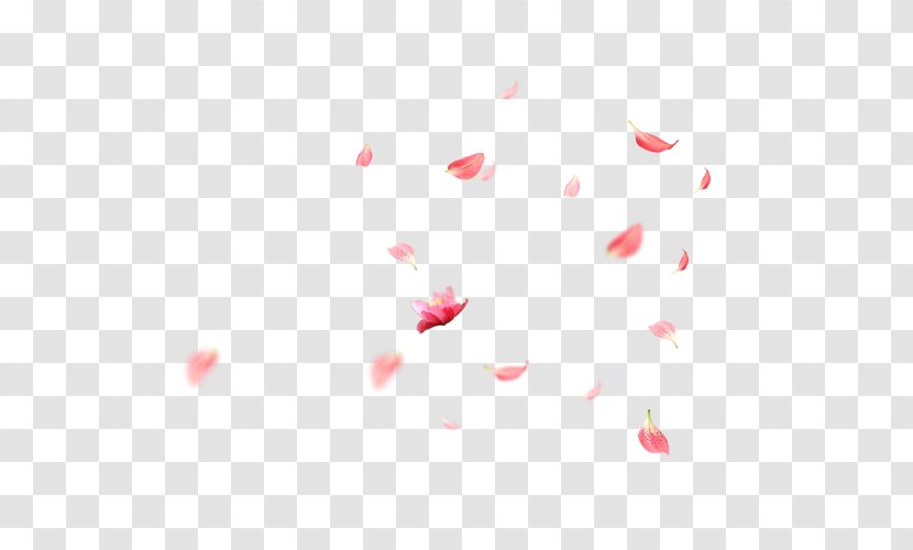 Petal Cherry Blossom Cerasus - Falling Petals Transparent PNG