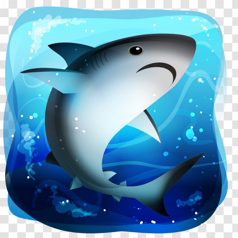 Mexico Killer Whale Marine Biology Desktop Wallpaper Comisión Nacional Para El Conocimiento Y Uso De La Biodiversidad - Shark - Bull Transparent PNG