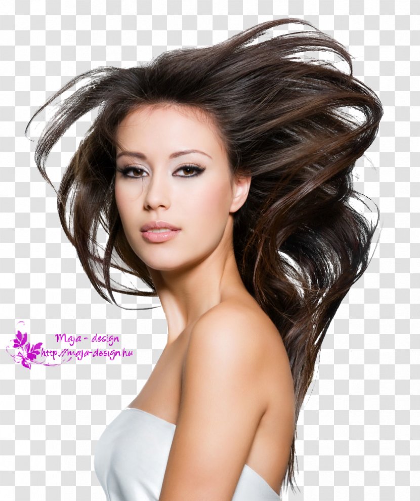 Beauty Parlour Hair Care Cosmetologist Loss - Tree - Brown Transparent PNG