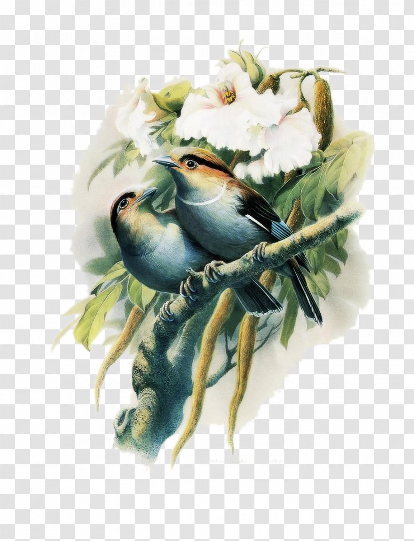 Bird Iran Oil Painting Art - Tree Picture Material Transparent PNG