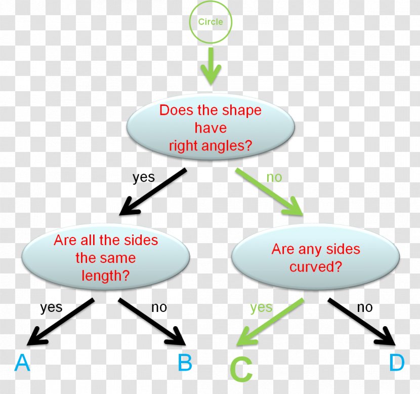 Tree Diagram Graphic Design - Graph Of A Function - 2D Transparent PNG