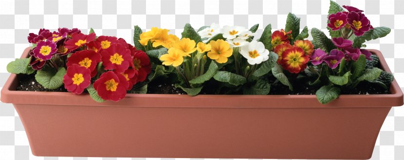 Flowerpot Plant - Flower Pot Transparent PNG