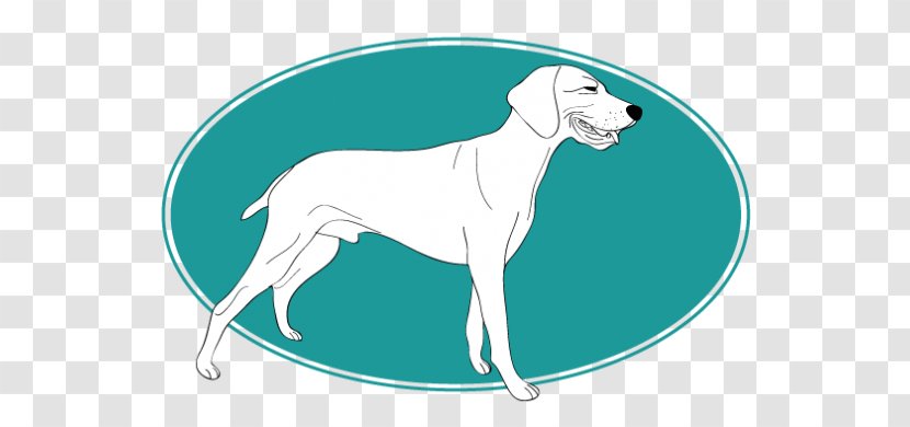 Dog Breed Italian Greyhound Whippet Sloughi Great Dane - Allemand Poil Court Transparent PNG