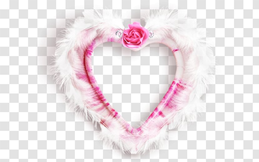 Heart Clip Art - Feather - Love Transparent PNG