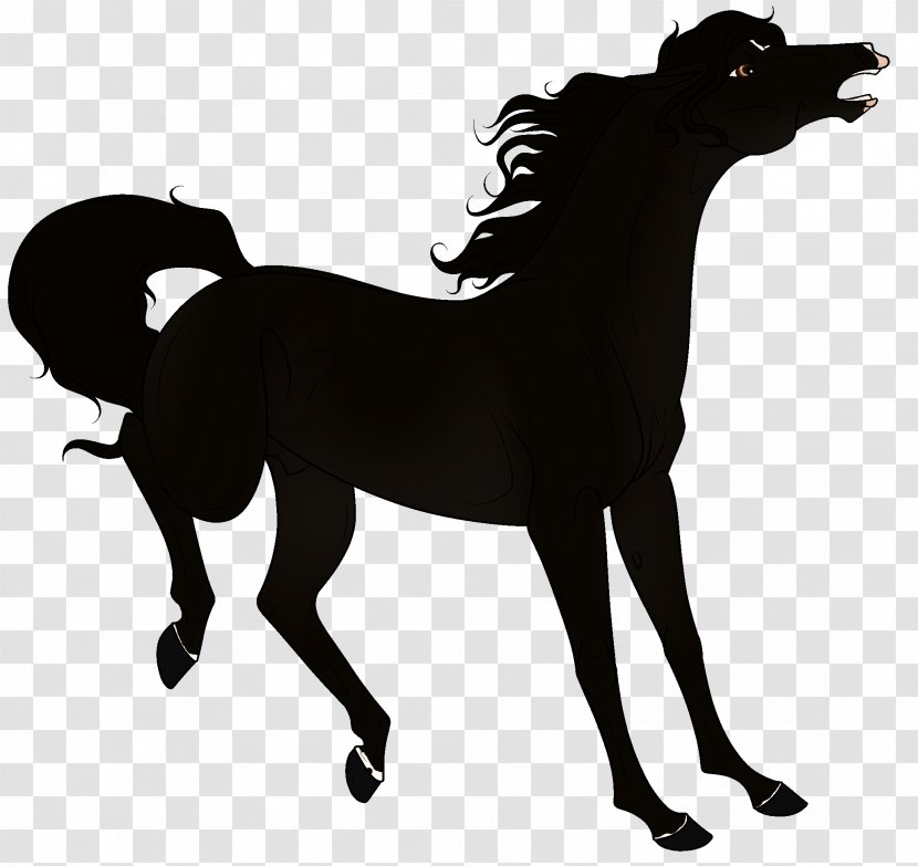 Horse Silhouette - Foal Transparent PNG