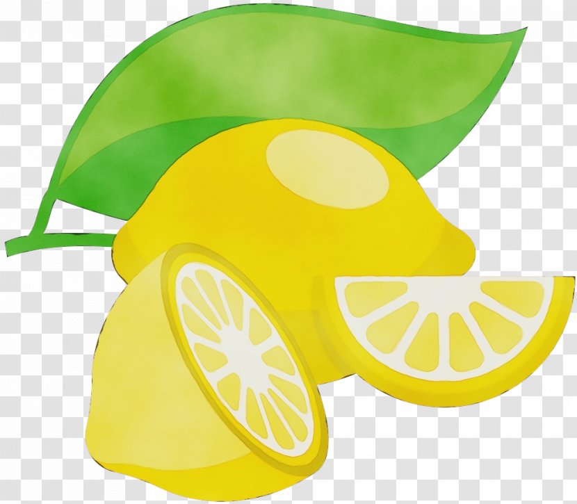 Yellow Lemon Citrus Green Lime - Wet Ink - Plant Fruit Transparent PNG