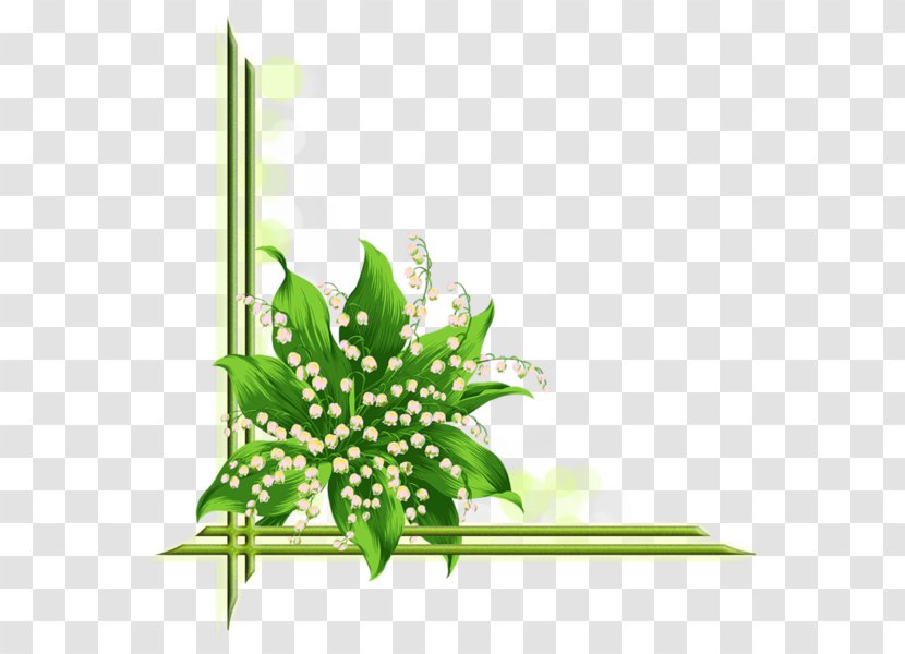 Lily Of The Valley Flower Drawing Clip Art - Picture Frames - Beautiful Floral Transparent PNG